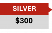 Silver Level Partnership ($300)