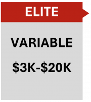 ELITE Level Partnership ($3k-20k)